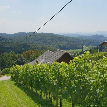 Zidanica Meglic - Vineyard Cottage Meglic Trebnje ภายนอก รูปภาพ