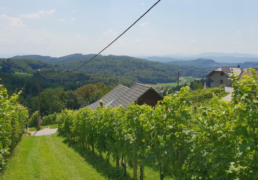Zidanica Meglic - Vineyard Cottage Meglic Trebnje ภายนอก รูปภาพ