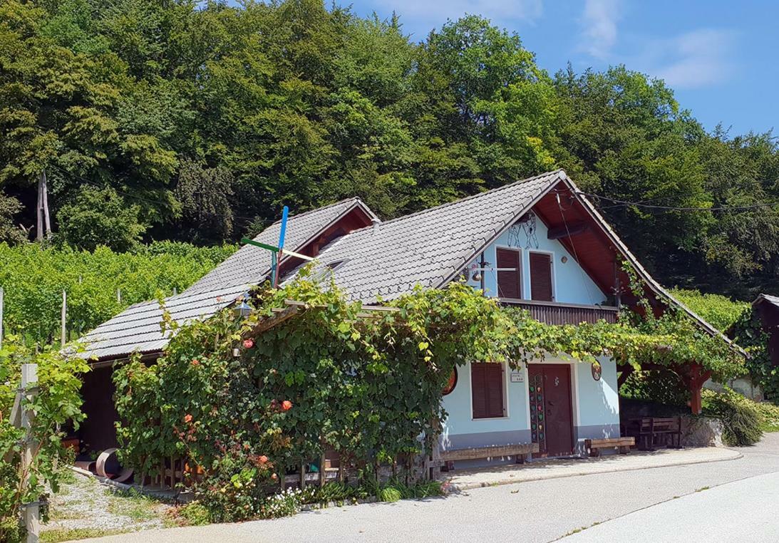 Zidanica Meglic - Vineyard Cottage Meglic Trebnje ภายนอก รูปภาพ