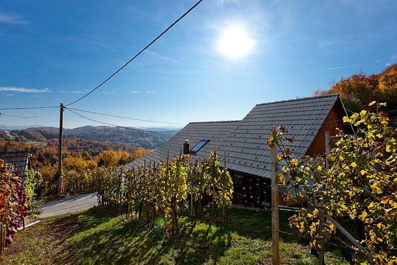 Zidanica Meglic - Vineyard Cottage Meglic Trebnje ภายนอก รูปภาพ